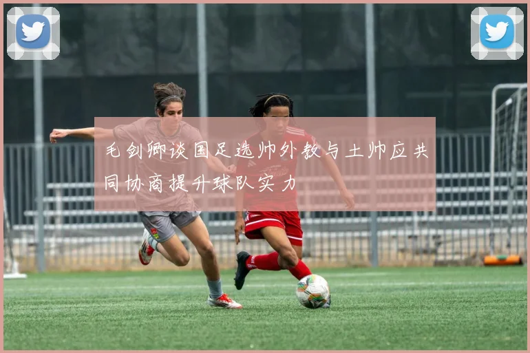 毛剑卿谈国足选帅外教与土帅应共同协商提升球队实力