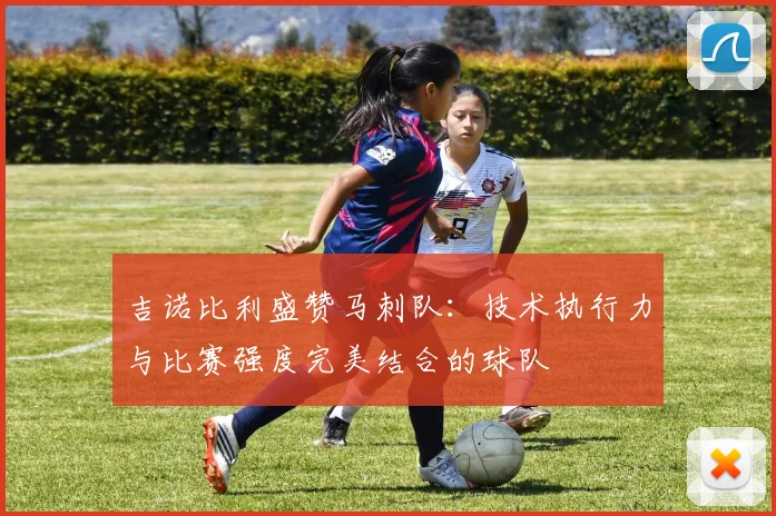 吉诺比利盛赞马刺队：技术执行力与比赛强度完美结合的球队