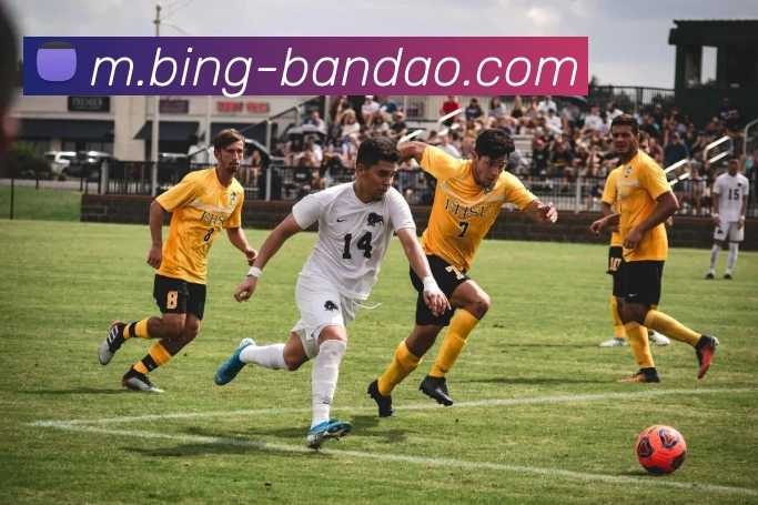 半岛体育服务体系