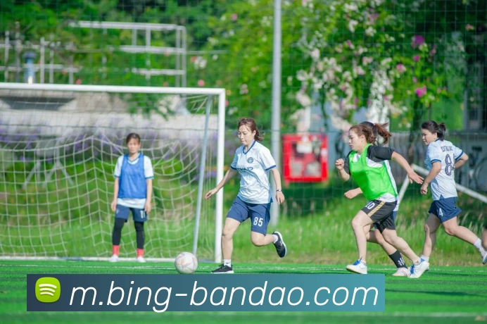 多媒体互动体验